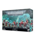 Aeldari: Guardians