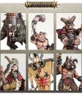 Vanguard: Beasts of Chaos