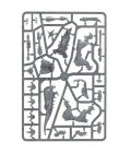 Vanguard: Beasts of Chaos