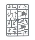 Vanguard: Beasts of Chaos
