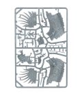 Cities of Sigmar: Tahlia Vedra, Lioness of The Parch
