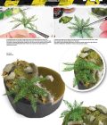 Dry Fern
