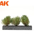 Dark Green Bushes