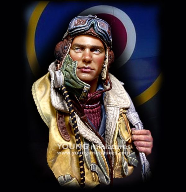 Battle of Britain RAF Pilot WWII