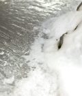Snow Sprinkles