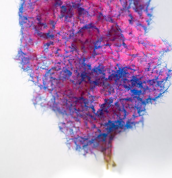 Fantasy Bushes: Blue-Pink