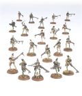 T'au Empire: Kroot Hunting Pack