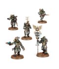 Solar Auxilia: Tactical Command Sections
