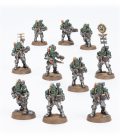 Solar Auxilia: Veletaris Storm Section