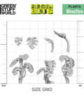 Green Stuff World: Monstera Plant