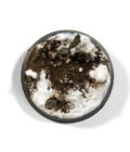 Enamel Liquid Pigment: Dark Earth