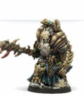 Warcrow Battle Pack: Winds from the North
