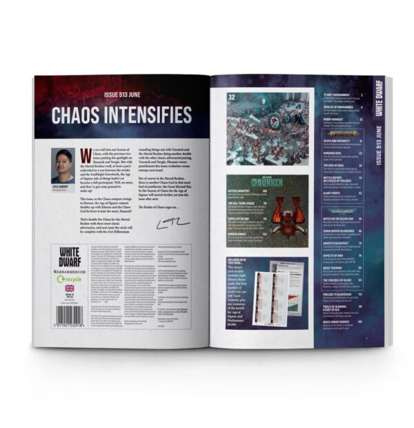 White Dwarf 513