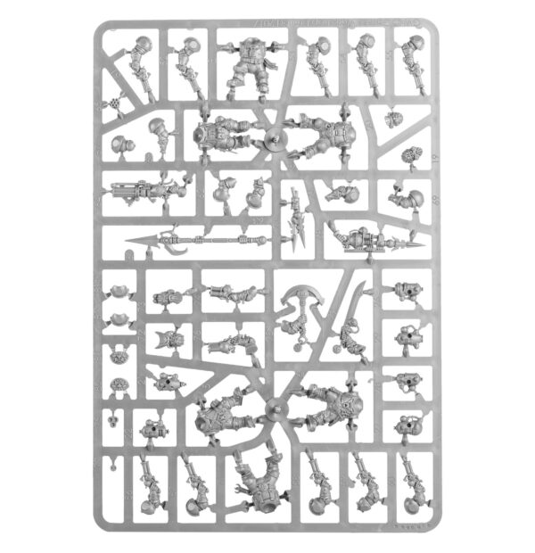 Regiment of Renown: Drekki's Privateers